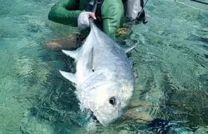 Saltwater Flies