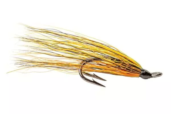 Willie Gunn salmon fly in double hook