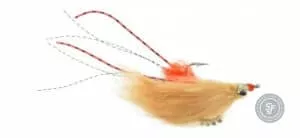 Avalon Permit Fly saltwater fly pattern