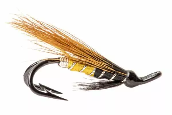 Jeannie salmon fly in double hook