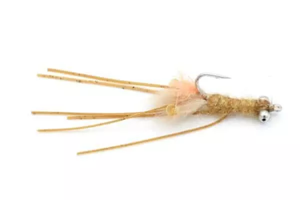 Orange Bearded Mantis shrimp Saltwater fly