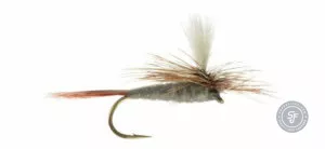 Parachute Adams dry fly