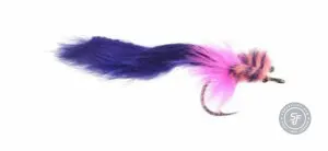 Tarpon bunny tarpon fly