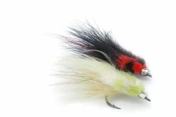 Tarpon Toad