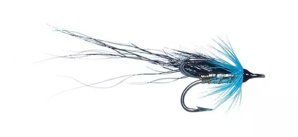 Black and Blue Longtail