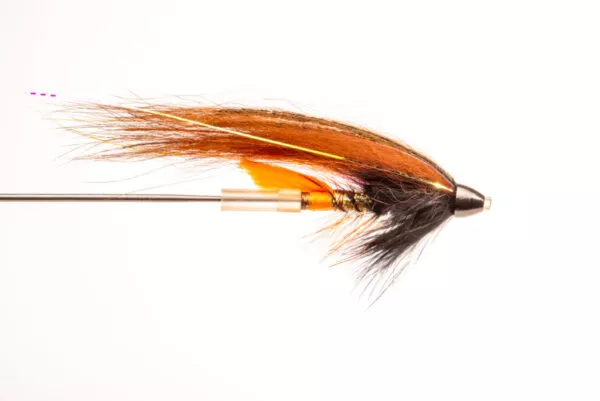 Phatakorva Templedog Tungsten Conehead