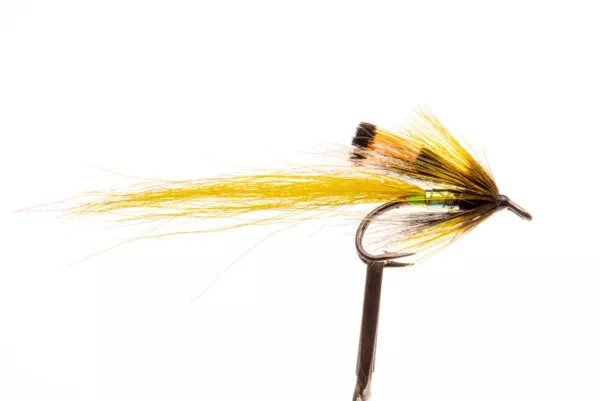 Ally's Yellow Shrimp - Image 2