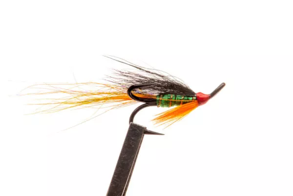 Autumn Brahan Longtail - Image 2