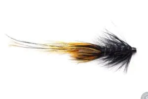 Pot Belly Pig tube fly in Willie Gunn colors