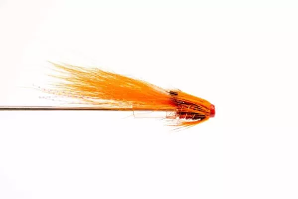 Ally's Shrimp putki