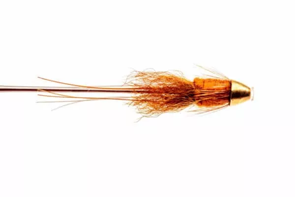 Frances Brown Tungsten Conehead