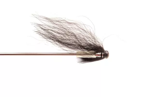 Kolskeggur Hitch