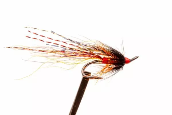 Allround Salmon Doubles lajitelma - Image 6