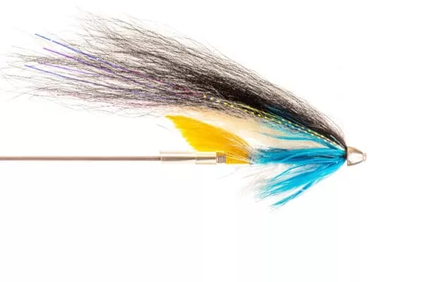 Blue Herring Templedog Brass Conehead