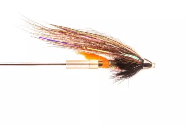 Phatakorva Templedog Tungsten Conehead