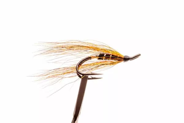 Willie Gunn