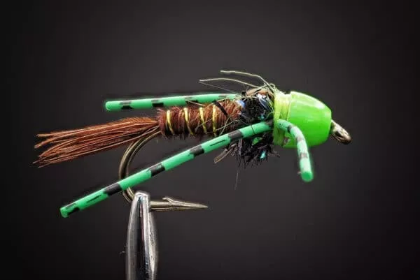 I-Bug kumijaloilla - Image 2