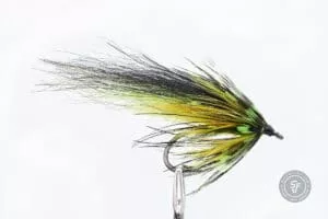 Black HIghlander fly