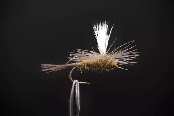 Bluewing Parachute Olive