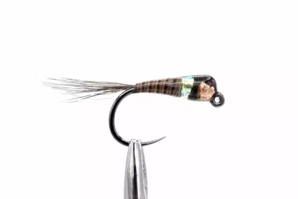 Perdigon Brown Jig