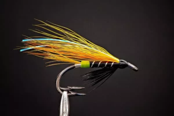 Flashabou Garry - Image 2