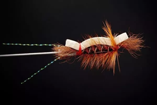Foamber - Image 4