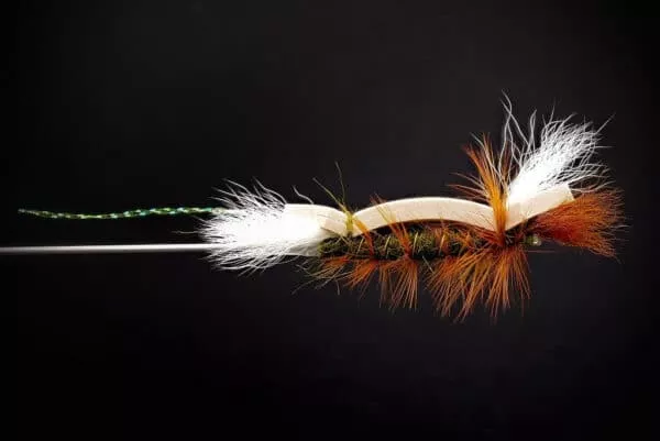 Foamber - Image 3