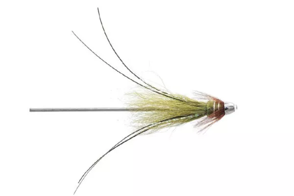 Frances Olive Brass Conehead - Image 3