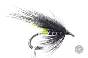 Green Butt fly tied with a fox wing