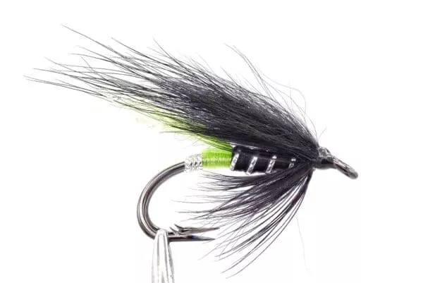 Green Butt fly tied with a fox wing