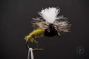 Klinkhamer Special dry fly, also known as Klinkhammer