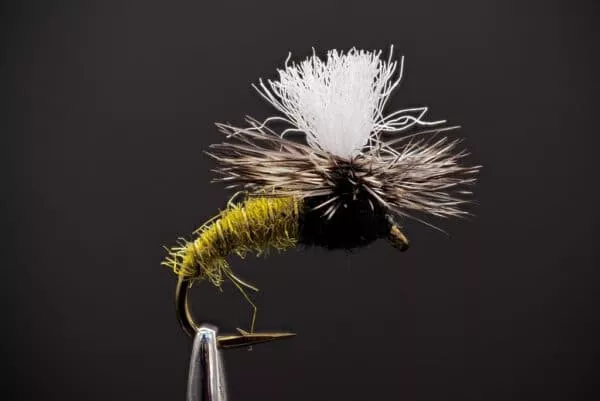 Klinkhamer Special dry fly, also known as Klinkhammer