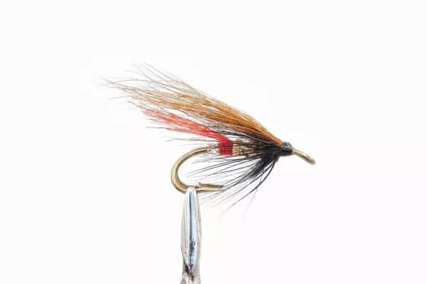 Simojoen lohiperhot - Oppaan valinnat - Image 11