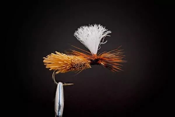 Parachute Caddis - Image 2