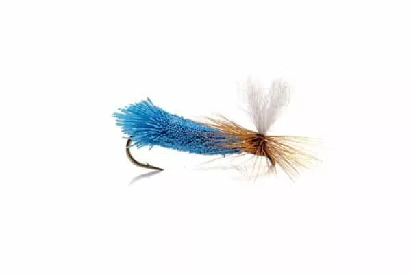 Blue Salmon Caddis dryfly