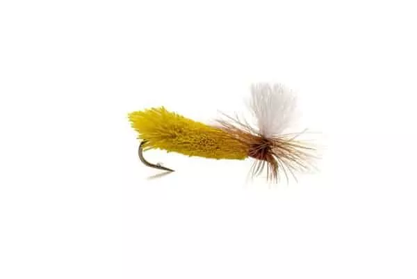 Yellow Salmon Caddis Dryfly