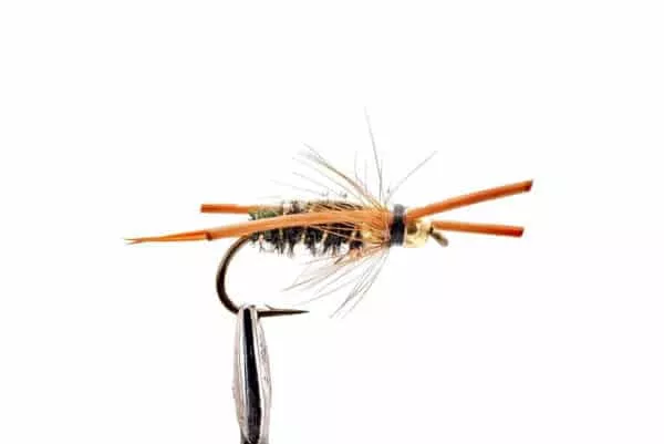Prince Nymph Double Bead kumijaloilla