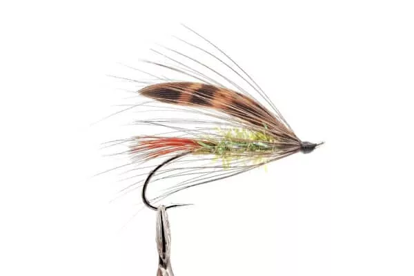 Dylan Spey
