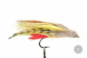 Marabou Muddler Perch streamer fly