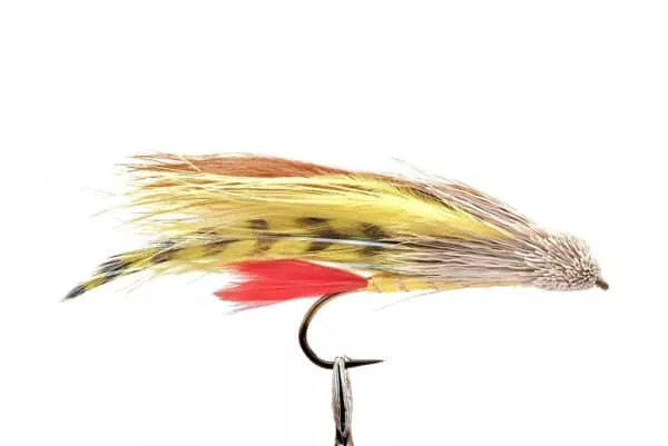 Marabou Muddler Perch streamer fly