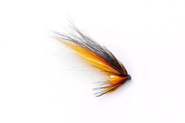 Pikku-Willie Gunn