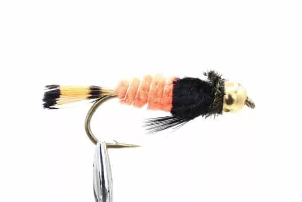 Watson's Fancy Fl. Orange