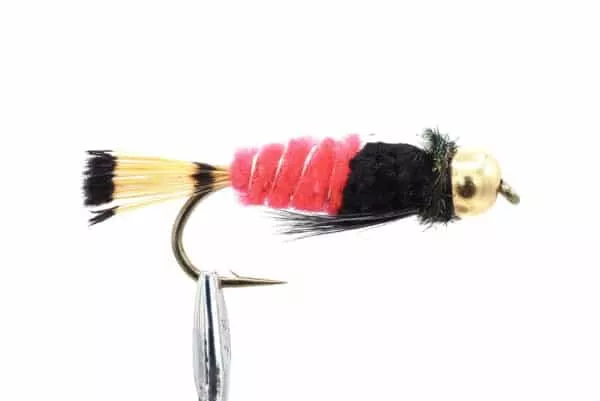 Watson's Fancy Fl. Red