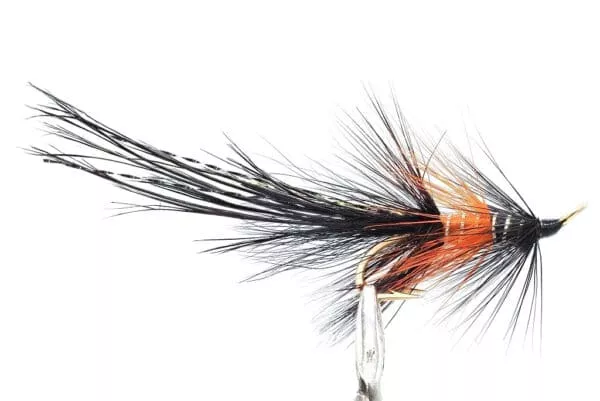 PBP Shrimp Black Gold Double
