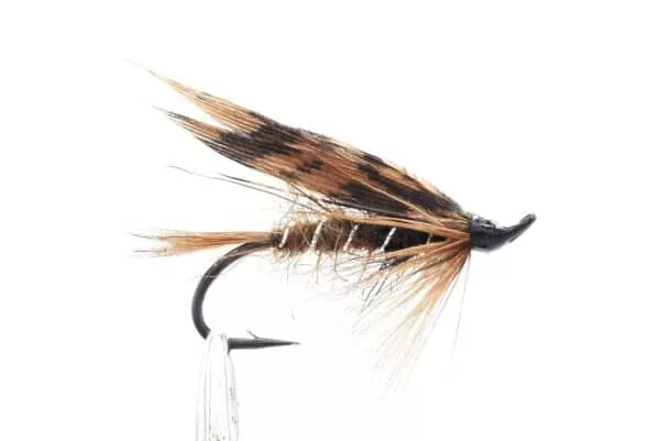 Brown Turkey