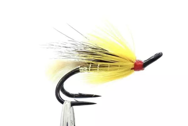 Cosseboom Olive