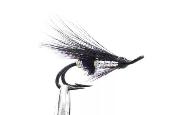 Dimmbla Purple
