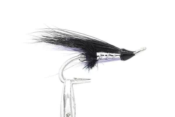 Dimmbla Purple - Image 2