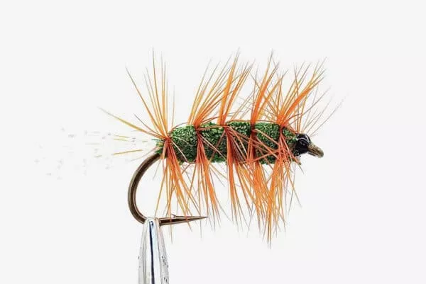 Glitter Bug Green & Orange