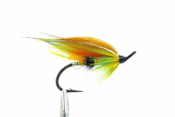 Salmon Singles lajitelma - Image 6